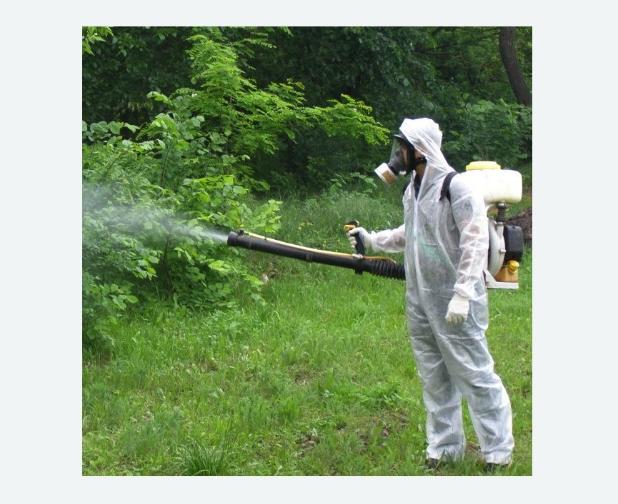 обработка территории от клещей в Кяхте