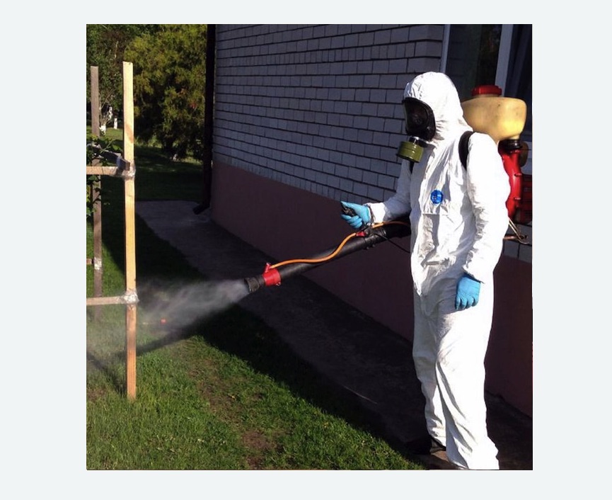 травля клещей на участке в Кяхте