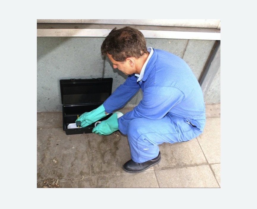 Уничтожение мышей в Кяхте Уничтожение мышей