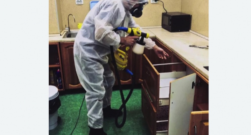 Дезинсекция квартиры. Кяхта