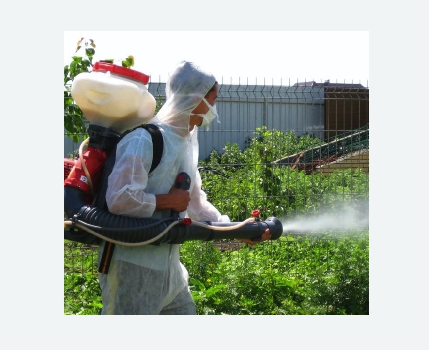 Акарицидная обработка территории в Кяхте