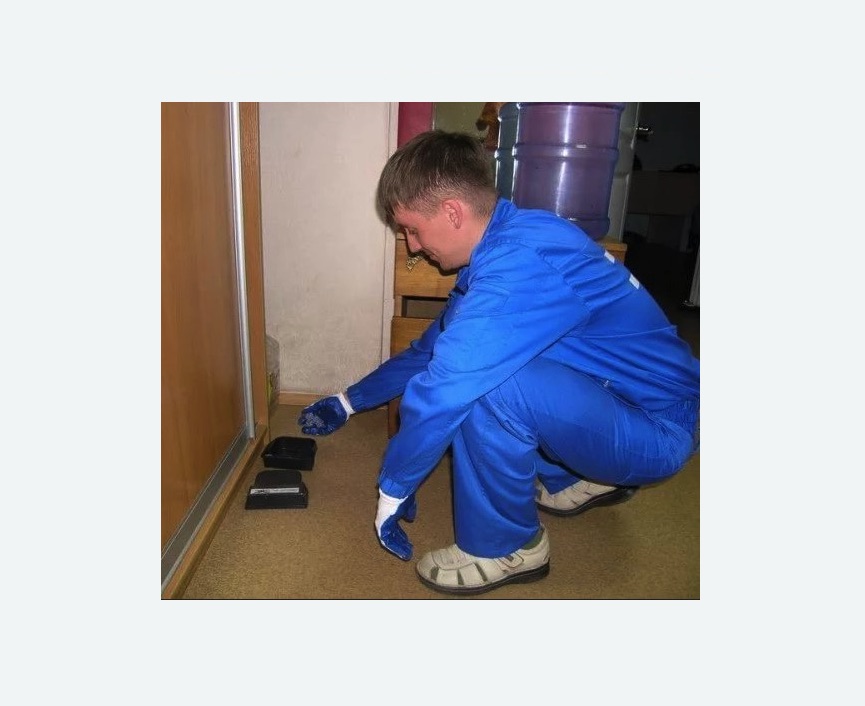 Дератизация крыс в Кяхте