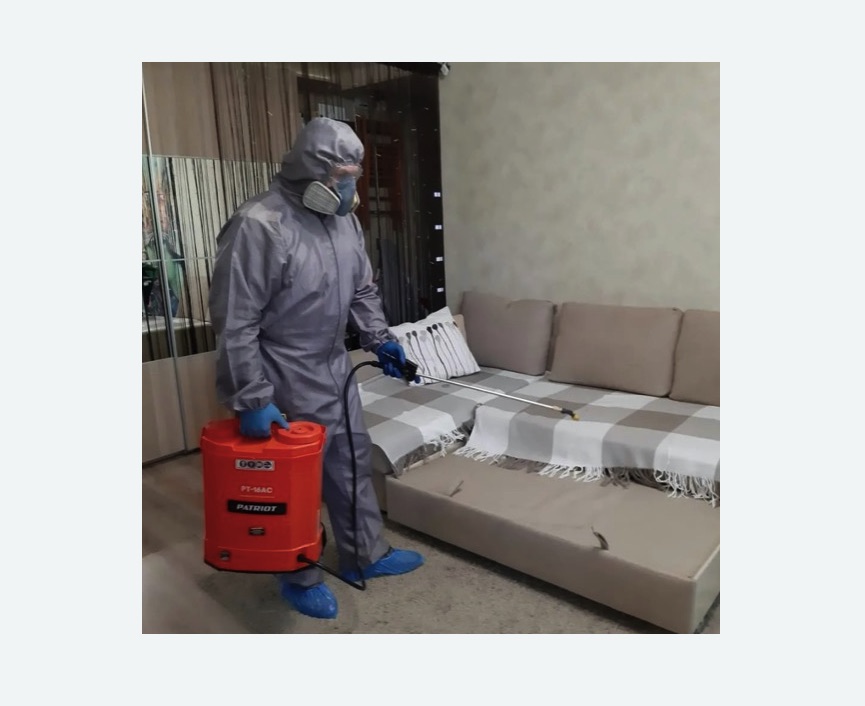 Обработка квартиры от блох в Кяхте Обработка квартиры от блох