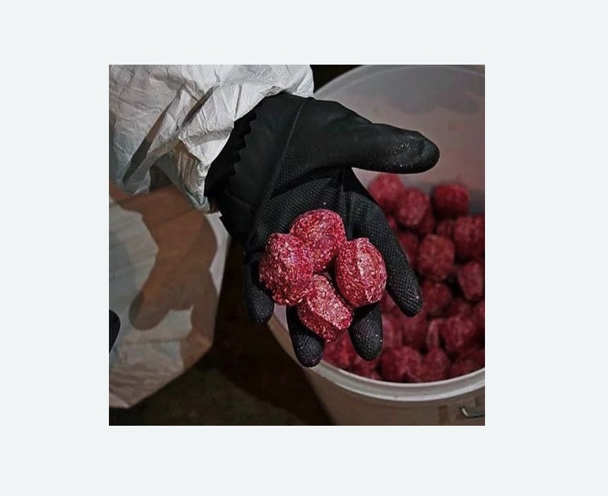 Обработка от крыс в Кяхте