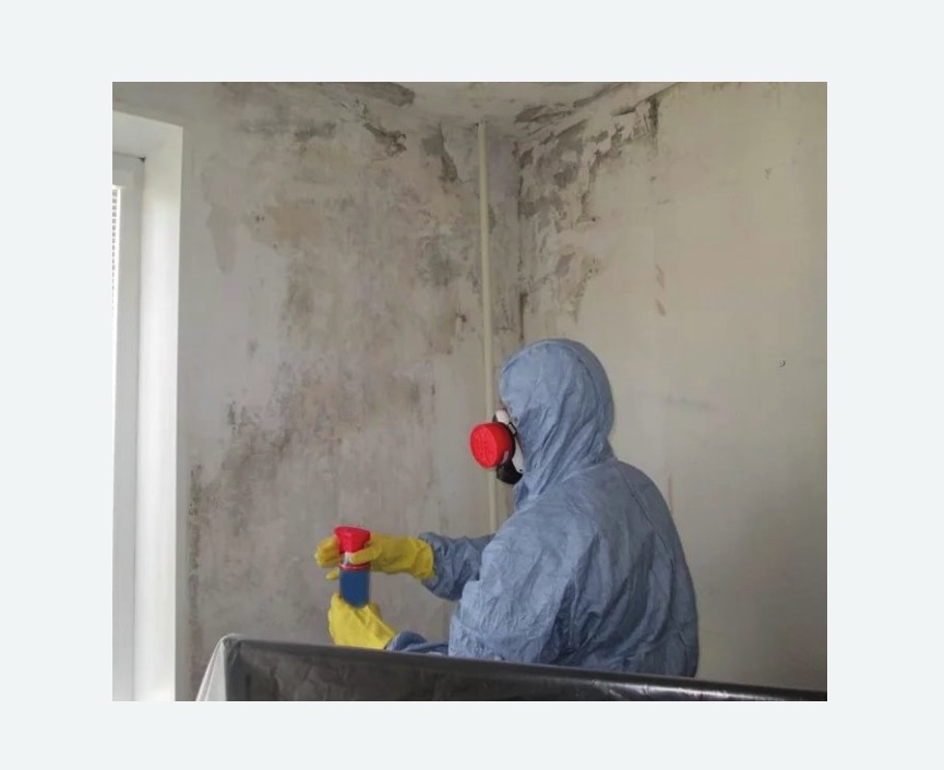 Удаление плесени в квартире в Кяхте