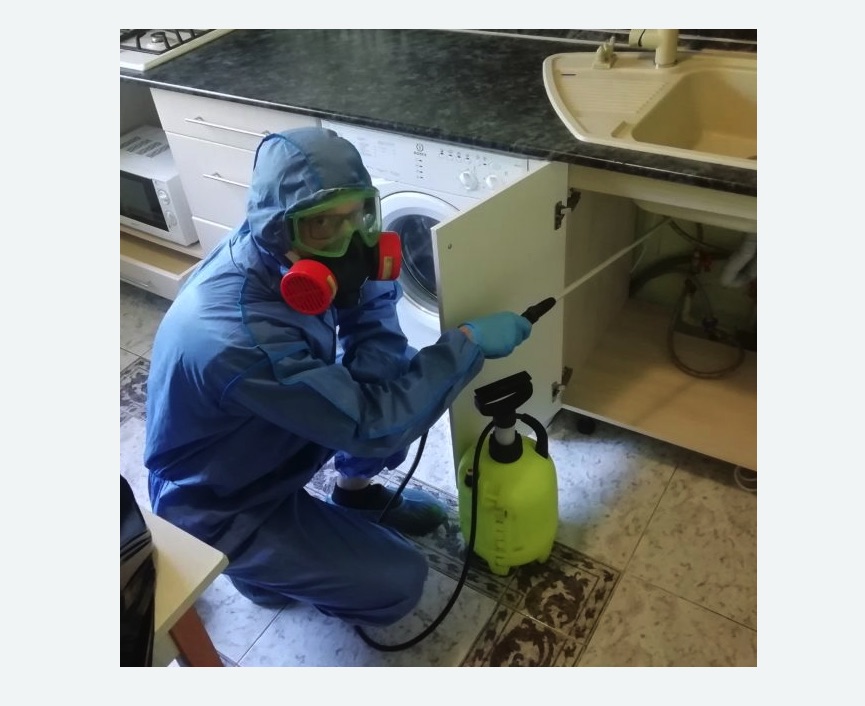 обработка от муравьев в квартире обработка от муравьев в квартире в Кяхте