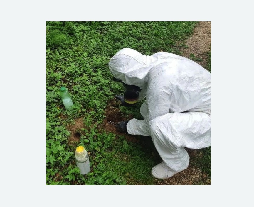 уничтожение кротов на участке в Кяхте