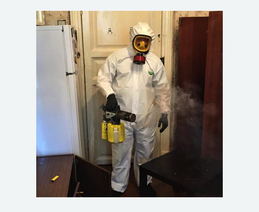 уничтожение муравьев в квартире уничтожение муравьев в квартире в Кяхте